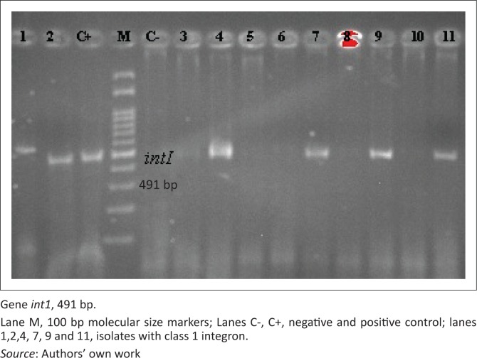 FIGURE 4