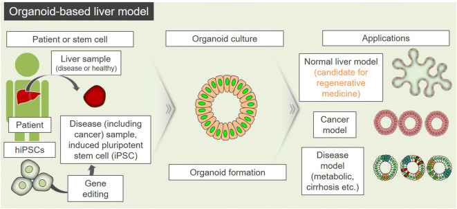 Fig. 3