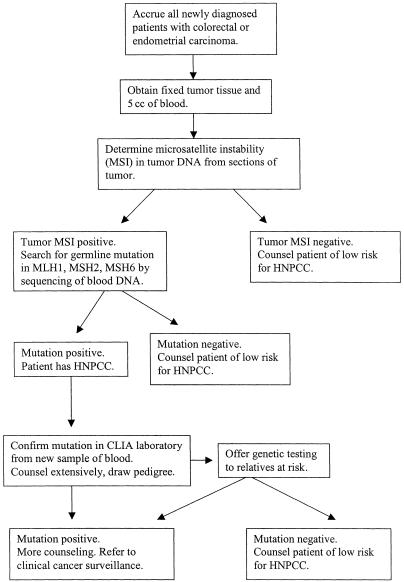 Figure  1