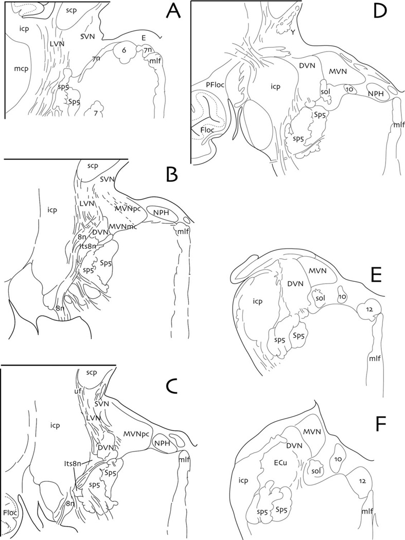 Fig. 8