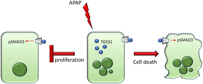 Figure 9.