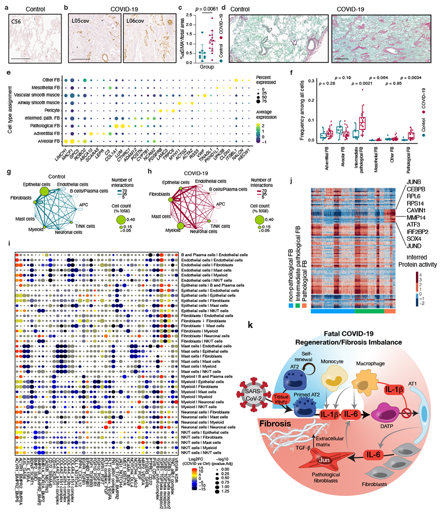 Extended Data Fig. 12 |