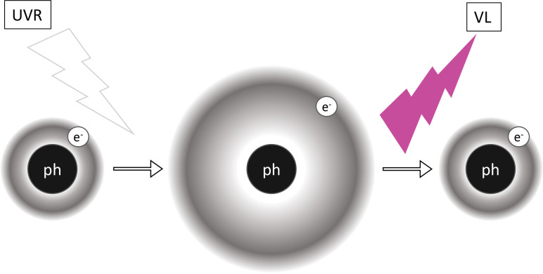 FIGURE 1.