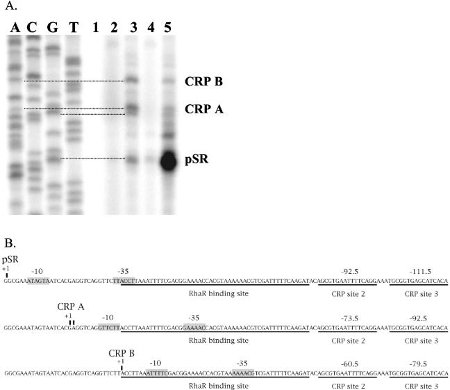 FIG. 4.