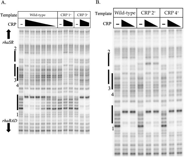 FIG. 6.