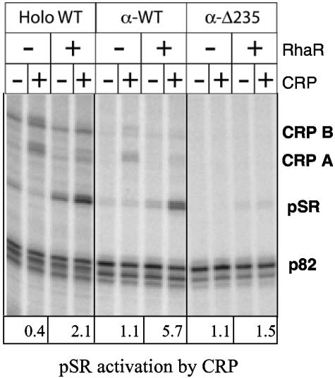 FIG. 8.