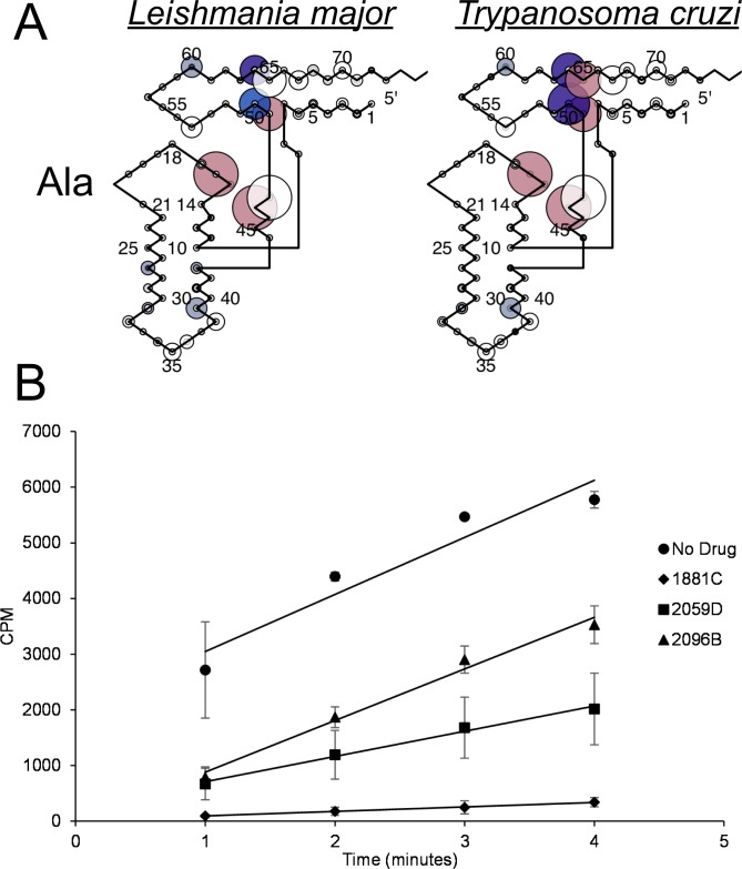 Fig 11