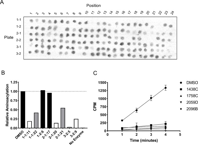 Fig 10