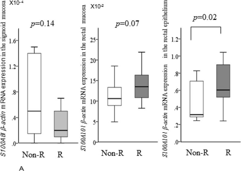 Figure1