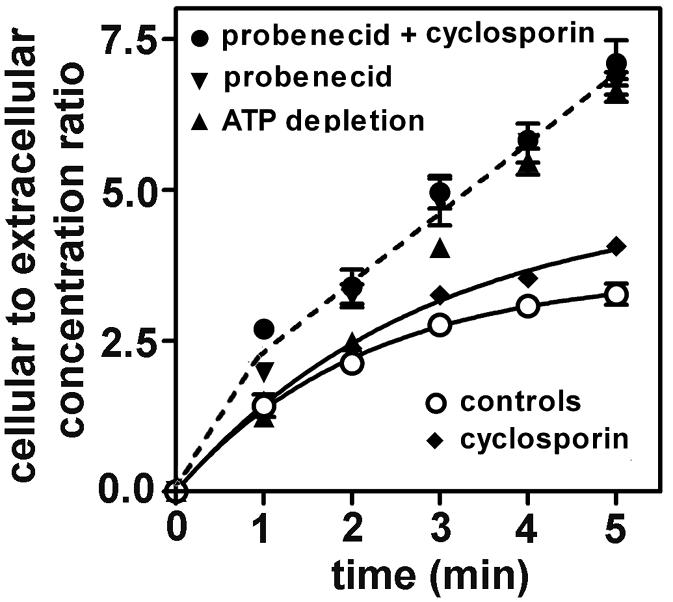 FIG. 6.