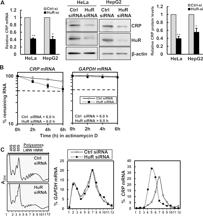 FIG 2