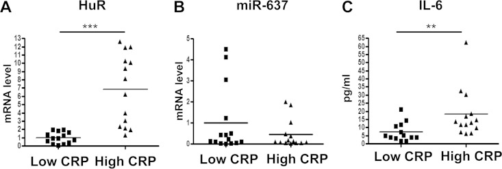 FIG 6