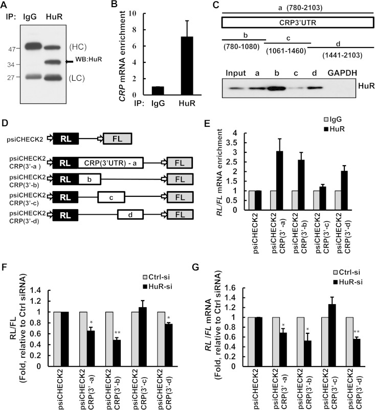 FIG 1