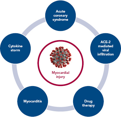 Figure 1: