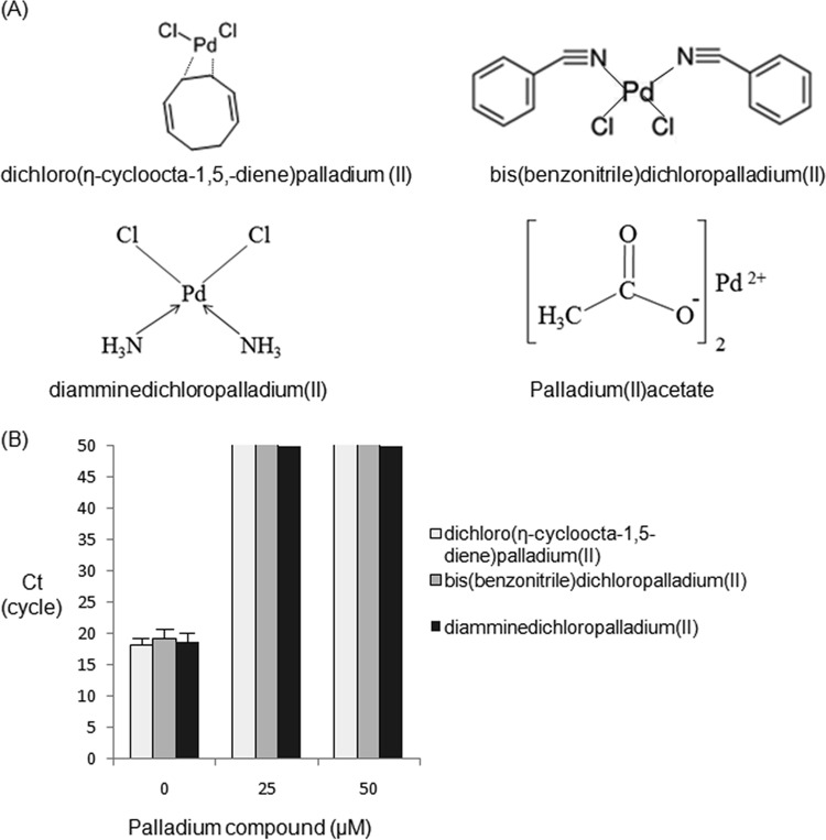 FIG 1