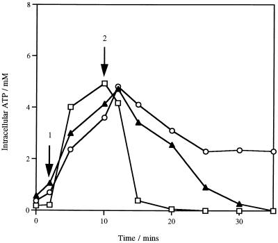 FIG. 3