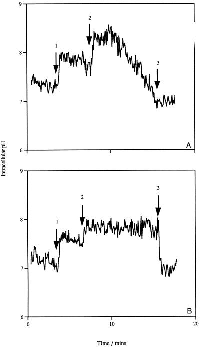 FIG. 6