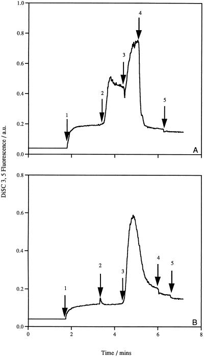 FIG. 5