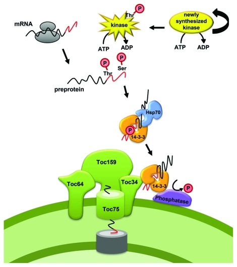 Figure 1.