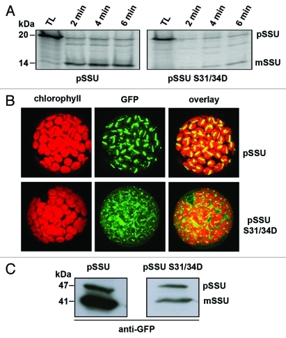 Figure 2.