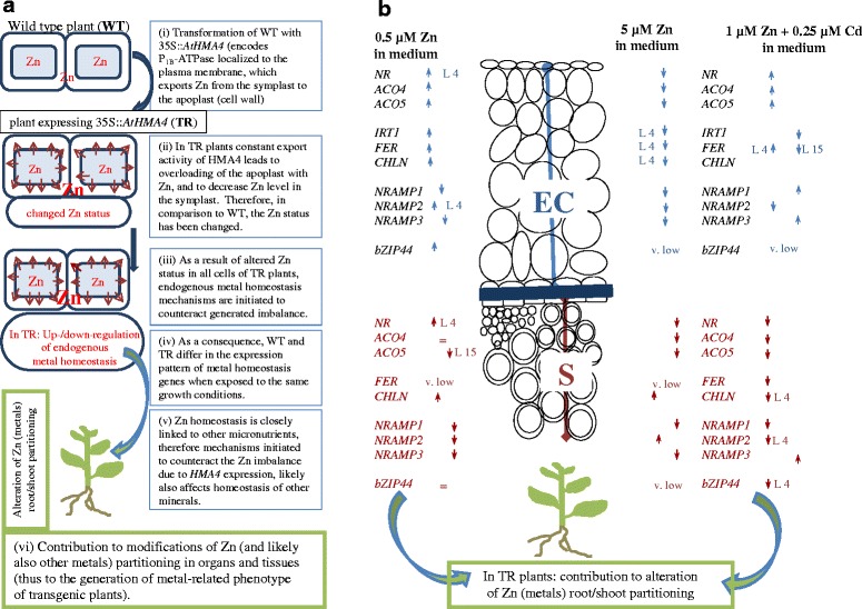 Fig. 10