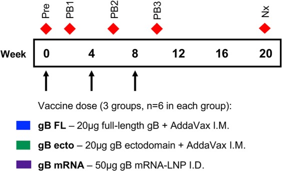 FIG 2