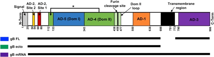 FIG 1