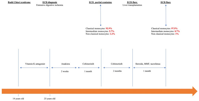 Figure 3