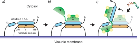 FIGURE 10.