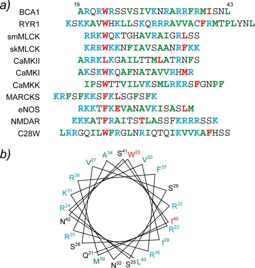 FIGURE 1.