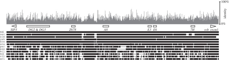 Figure 3.