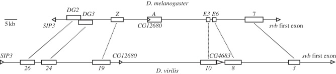 Figure 5.