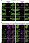 FIG 2