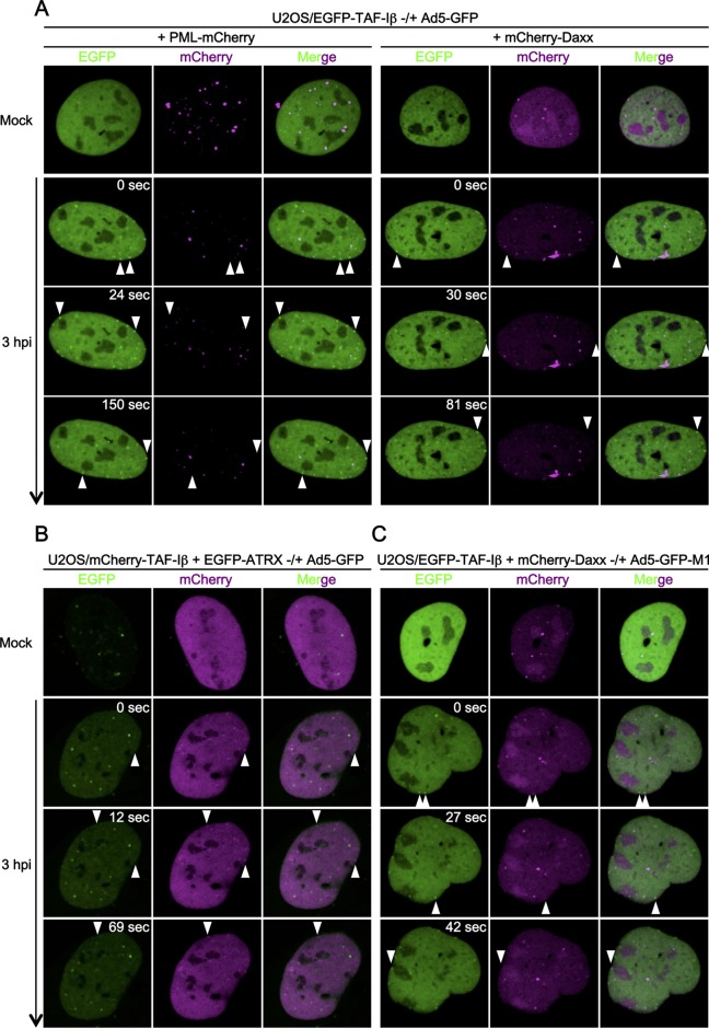 FIG 2