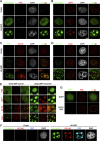 FIG 3