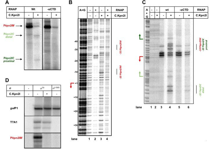 Figure 5.