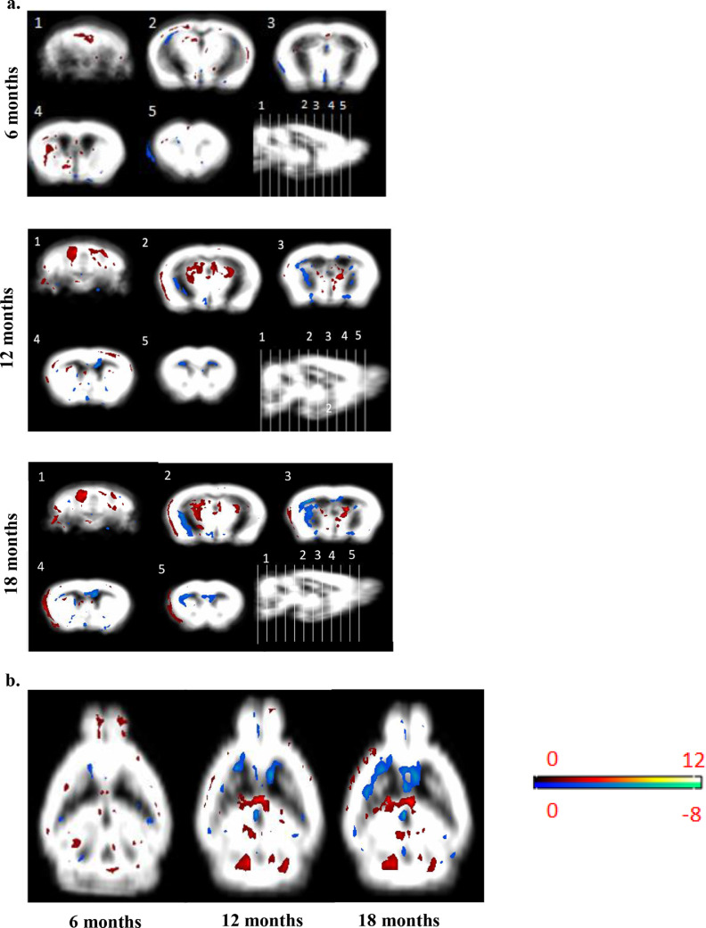 Fig. 7