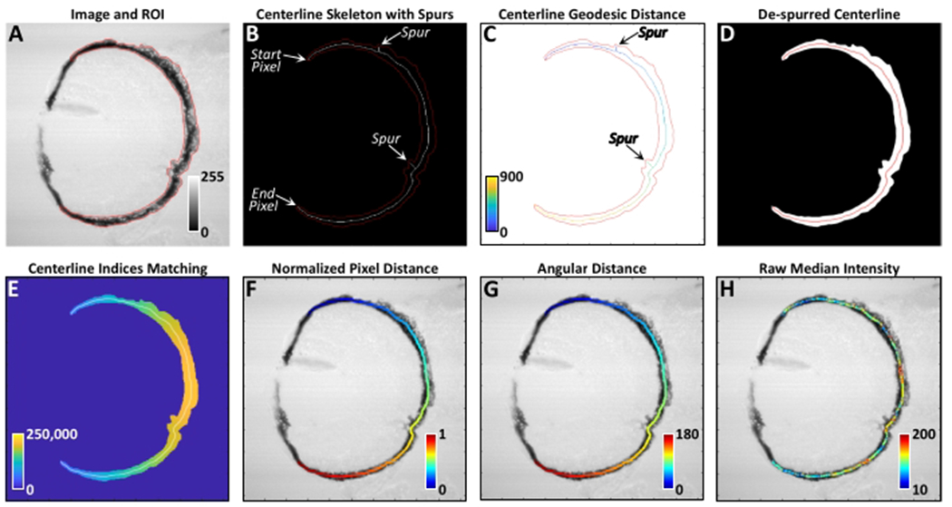 Figure 4: