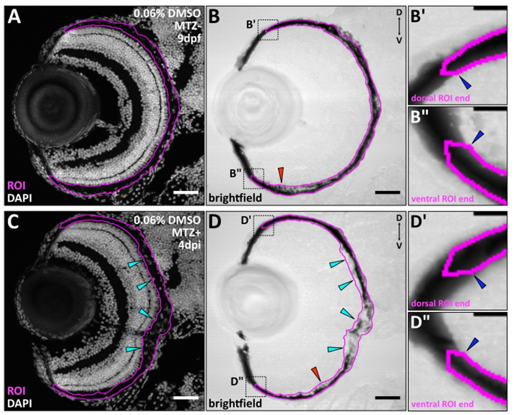 Figure 3: