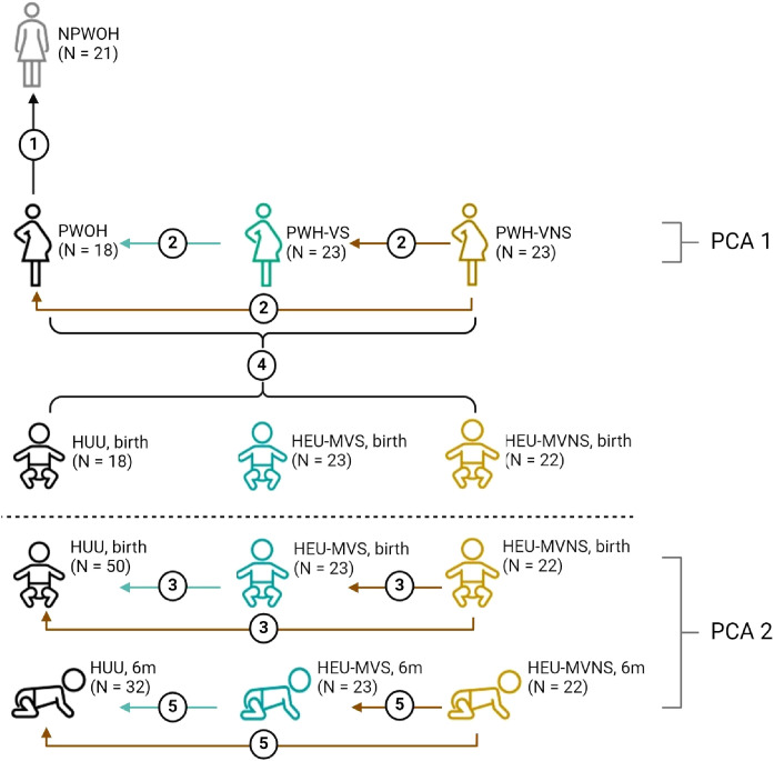 Figure 1