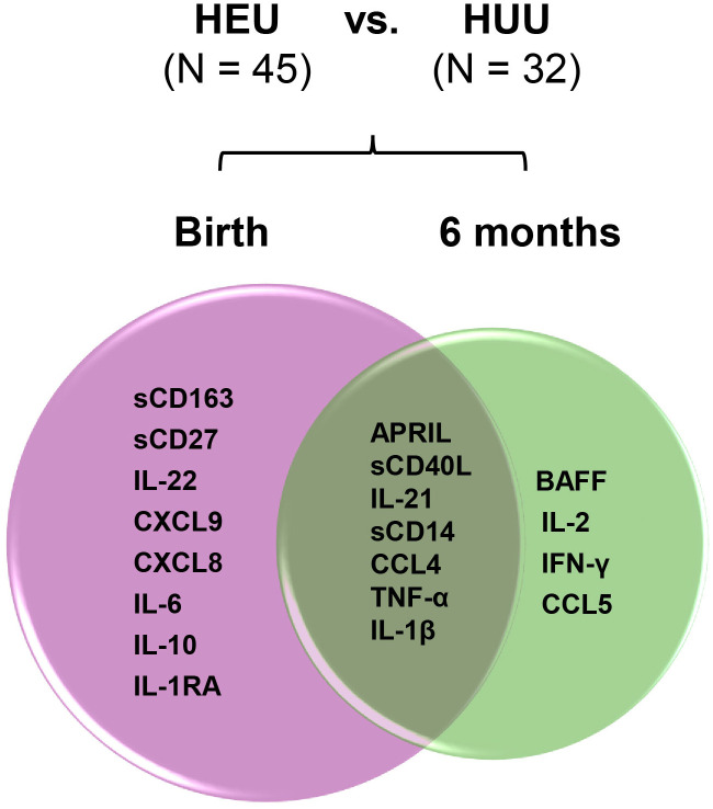 Figure 7