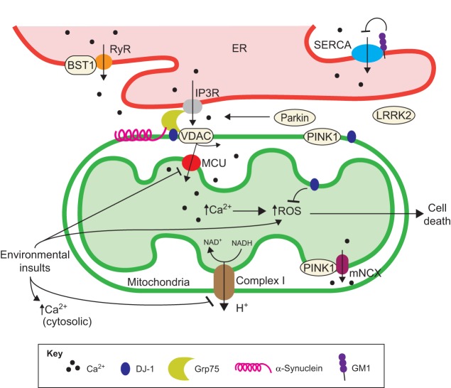 Fig. 2.