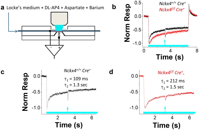 Figure 5.