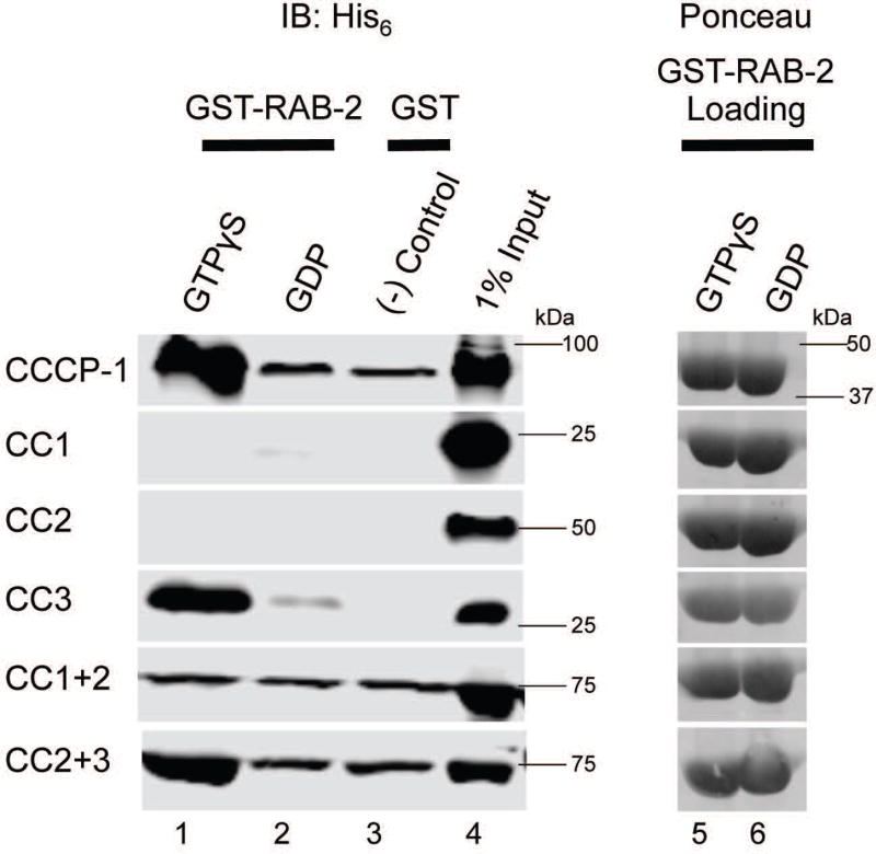 FIGURE 3