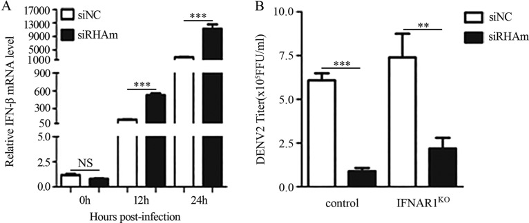 FIG 7