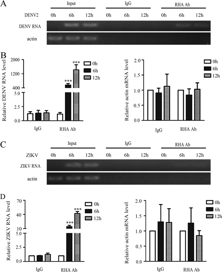 FIG 3