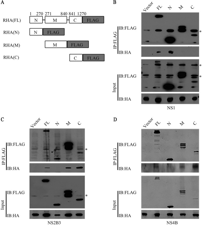 FIG 5