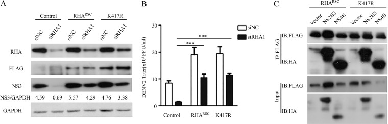 FIG 6