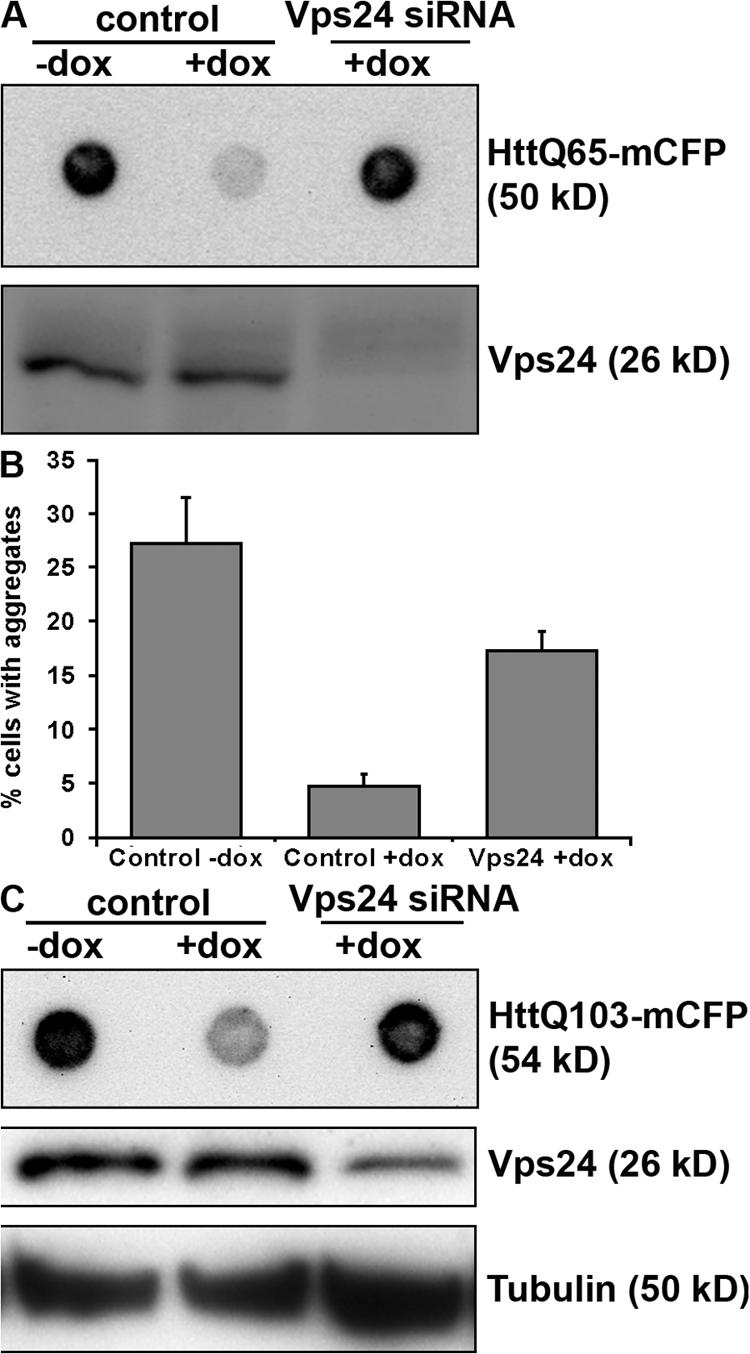 Figure 9.