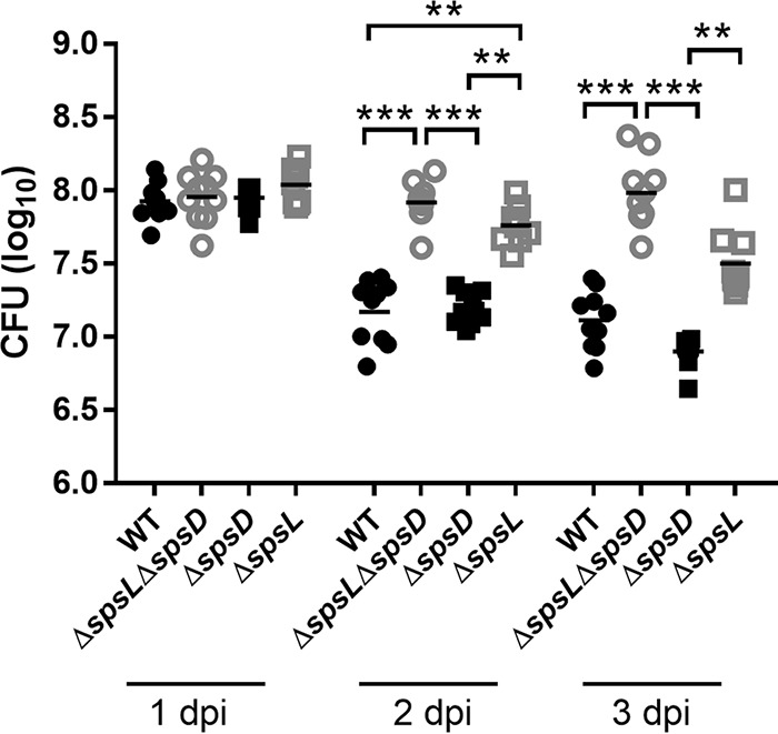 FIG 6